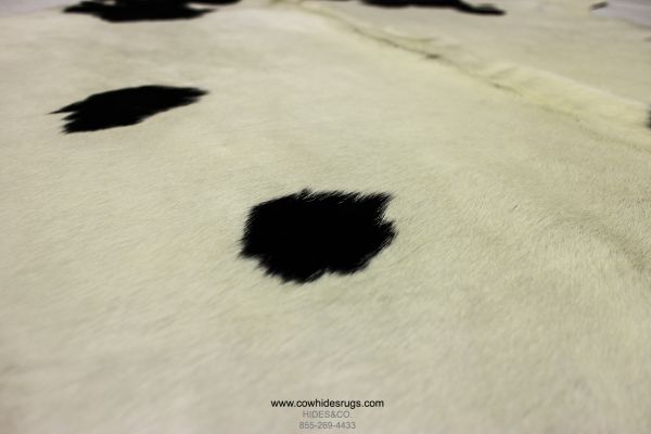 White Cowhide with Black Spots