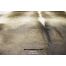 Lustrous Brown and Black with White Spine Cowhide Rug